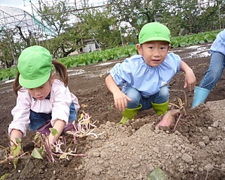 なかなか手ごわいな〜。。。